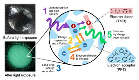  Erbium Oxide ナノ粒子: 高効率発光材料の未来を拓く！