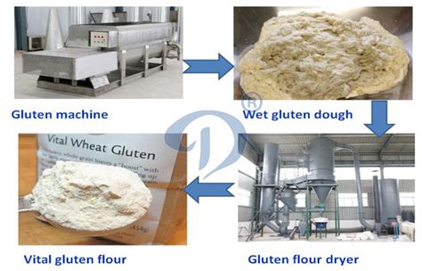  グルテン粉の用途と製造プロセス：食品業界における多機能タンパク質