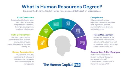 What Degree Do You Need for Human Resources? Exploring the Educational Pathways and Beyond