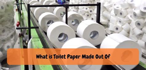 What is Toilet Paper Made Out Of, and Why Do We Use It to Wipe Away Our Thoughts?